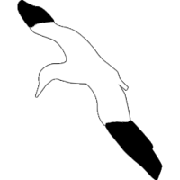 Gannet Mobile