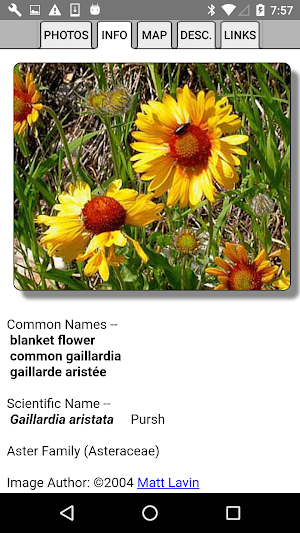 BC Wildflowers Screenshot 3