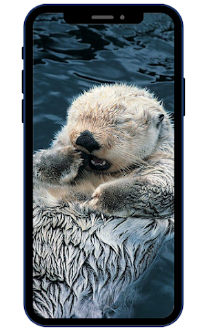 Otter Wallpapers Screenshot 2