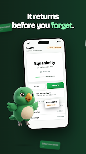 Wordhabit: Daily Vocabulary Screenshot 2