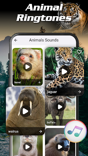 Animal Ringtones Birds Sounds Screenshot 2