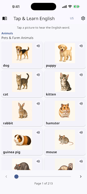 Tap & Learn English Screenshot 0