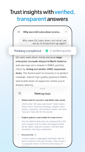 Snowflake CoWork Screenshot 3