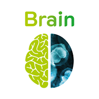 Brain