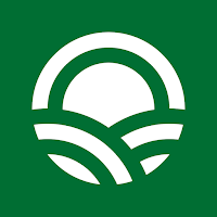 Seso Labor