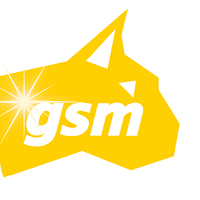 LinceGSM