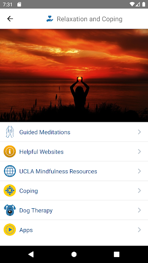 UCLA Psych Screenshot 3