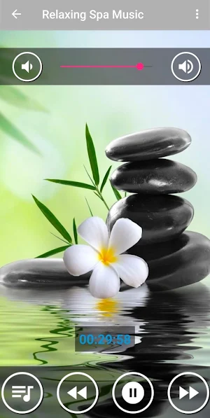 Relaxing Spa Music | Music for Stress Relief Screenshot 0