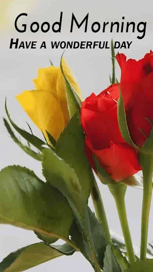 good morning images Screenshot 0