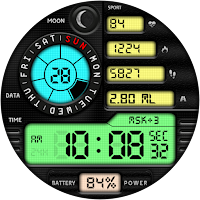 DIGI CASATRO WS111 Watch face