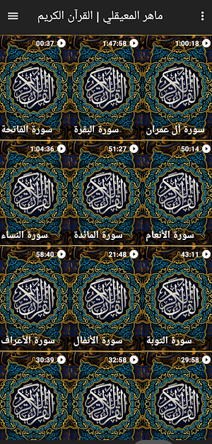 قرآن كامل بصوت ماهر المعيقلي Screenshot 1
