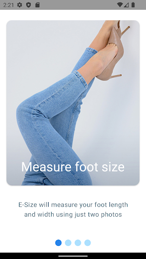 E-Size Screenshot 1