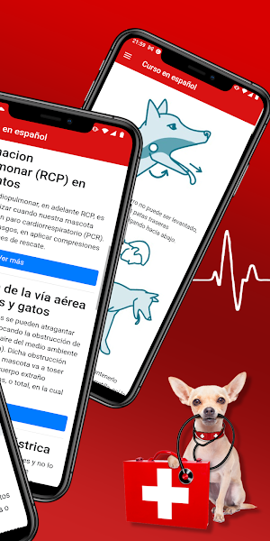 Primeros auxilios para mascota Screenshot 1