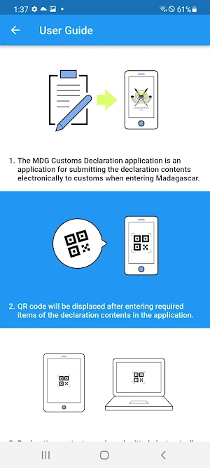 MDG Customs Declaration App. Screenshot 0