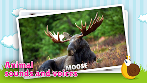Animal flashcard & sounds for kids & toddlers Screenshot 0
