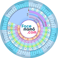 Pregnancy Weeks Calculator by Facemama
