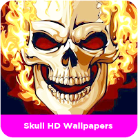 Skull HD Wallpapers