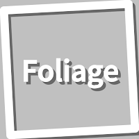 Book, Foliage