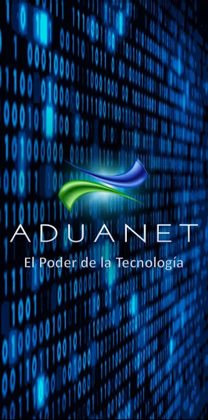 Aduanet Screenshot 0