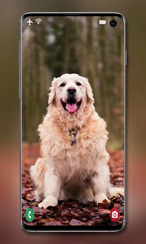Dog Wallpaper Screenshot 3