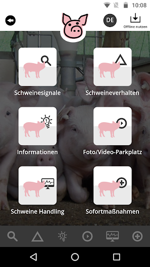 FitForPigs Screenshot 0