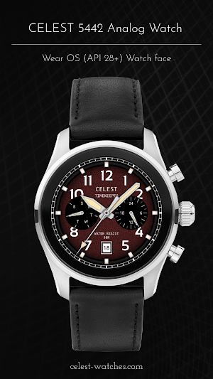 CELEST5442 Analog Watch Screenshot 3