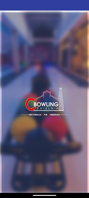Bowling Cegielnia Screenshot 1