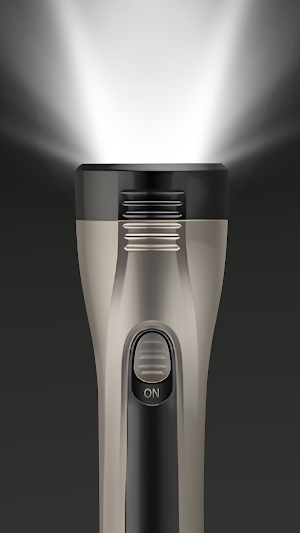 Bingo Flashlight Screenshot 2