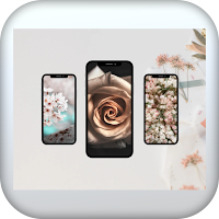 Flowers HD wallpaper 2022