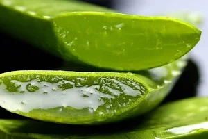 Home Remedies for Hair Loss Screenshot 2