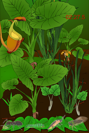 Hidden Insects Screenshot 2