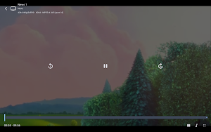 Vector Player: IPTV Player screenshot 5