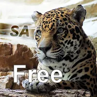 Nature Free - South America
