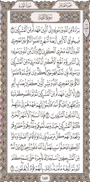 Mushaf Warsh- مصحف ورش المغربي Screenshot 2