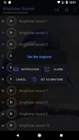 Kingfisher Sounds ~ Sboard.pro Screenshot 2