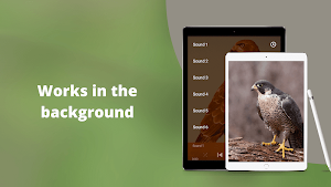 Peregrine Falcon Sounds - Peregrine Falcon Calls Screenshot 2