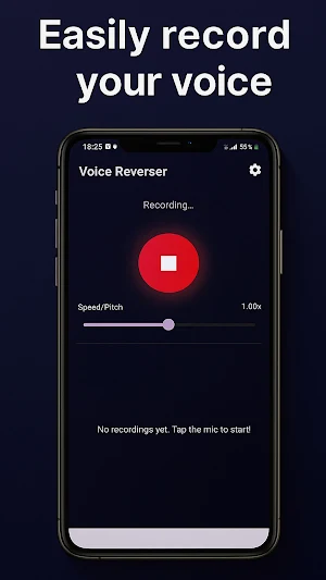 Voice Funny Reverse Screenshot 2