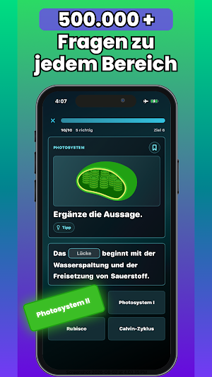 Medizingo Screenshot 3