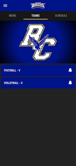 RCS Eagles Screenshot 3