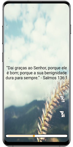 Holy Bible Offline Screenshot 1