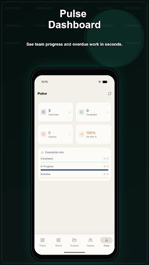 Tasqman – Team Task Manager Screenshot 3