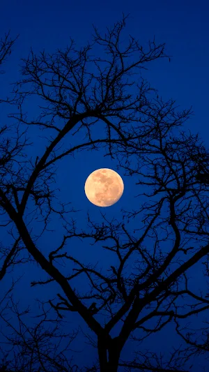 Moon Wallpaper Screenshot 0