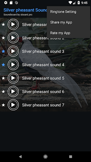 Silver pheasant sounds ~ Sboard.pro Screenshot 3
