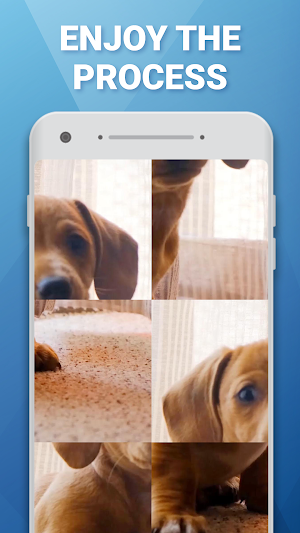 Video Puzzle: Picture art Screenshot 1