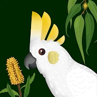 Wingmate Birds of Australia