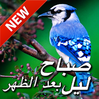 Arabic Good Morning Afternoon & Good Night Wishes