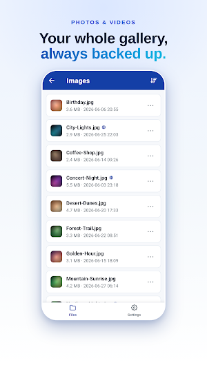 DDownload: Cloud Storage Screenshot 2