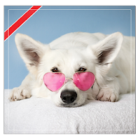 Cute Dog Keyboard Emoji