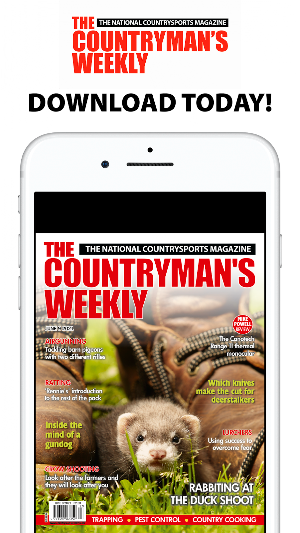 The Countryman’s Weekly Magazine Screenshot 0