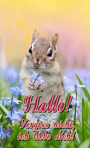 Hallo! Screenshot 2